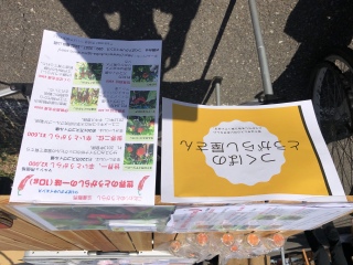 大山とうがらし